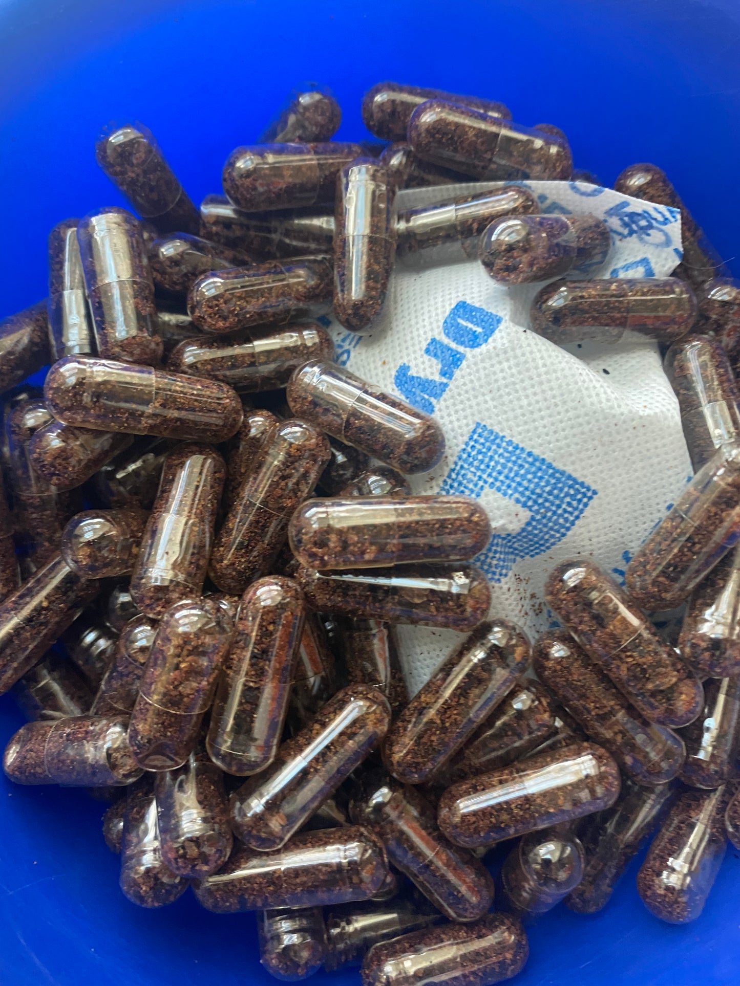 Placenta encapsulation