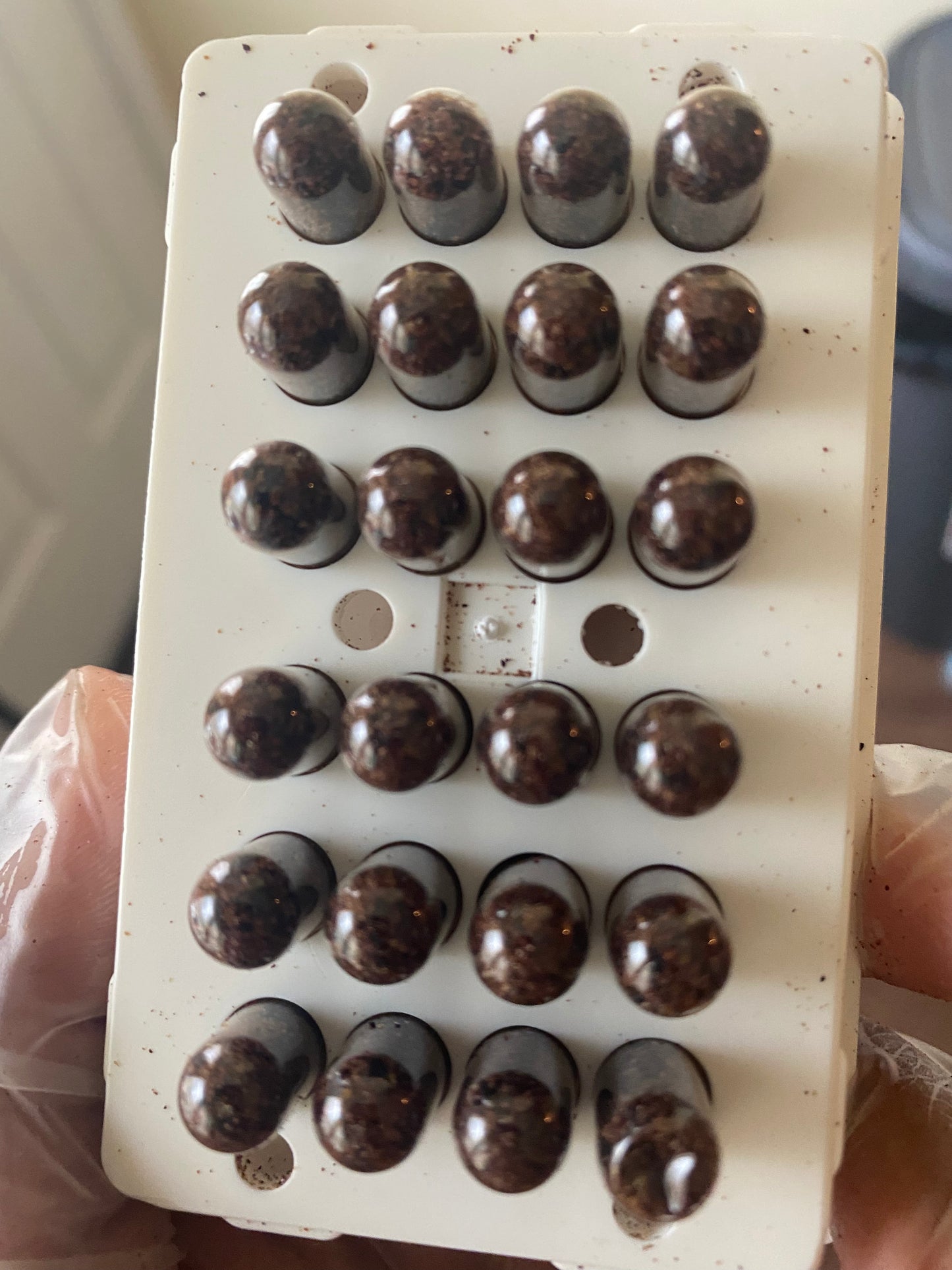Placenta encapsulation