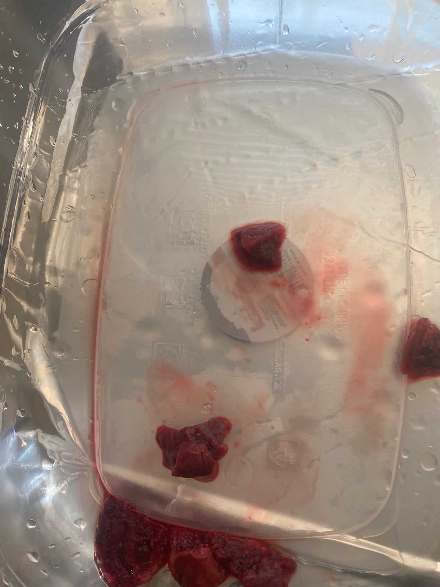 Placenta encapsulation